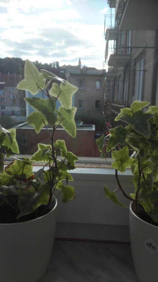 Ústí nad Labem Lucka 아파트 외부 사진